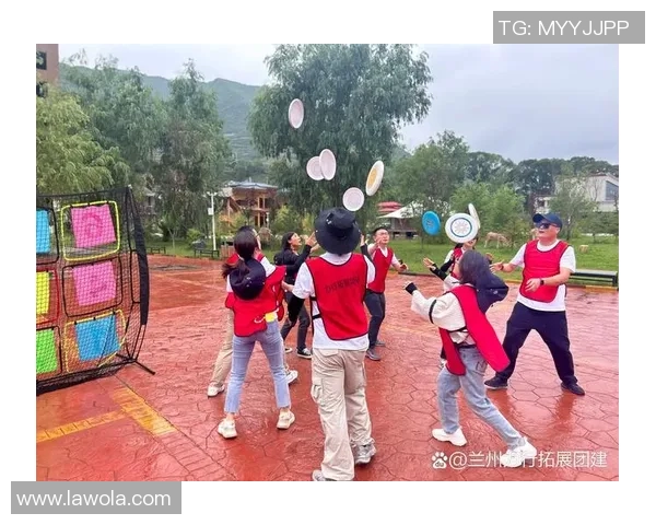 飞盘团队精神：深入解析北京飞盘队的协作与默契之道MBA